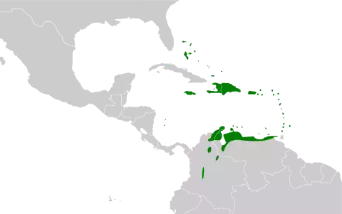 Image of Black-faced Grassquit