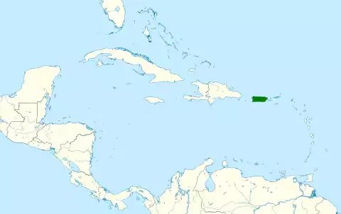 Image of Puerto Rican Spindalis