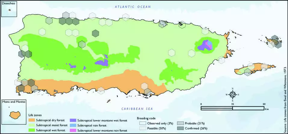 Least Grebe Distribution