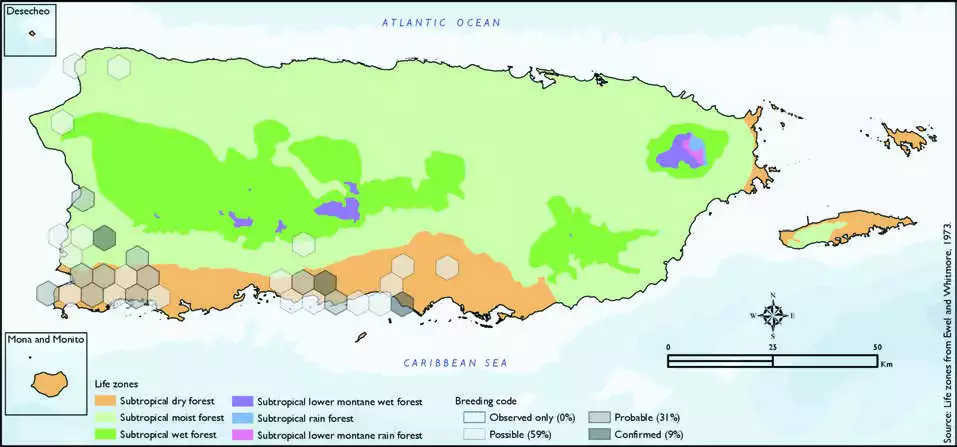 African Collared-Dove Distribution