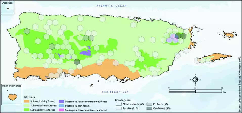 Ruddy Quail-Dove Distribution