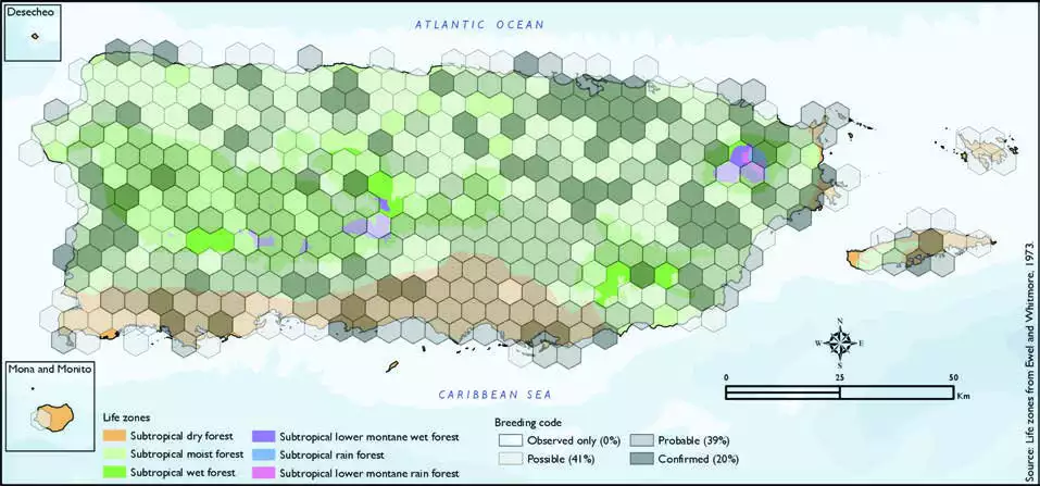 White-winged Dove Distribution