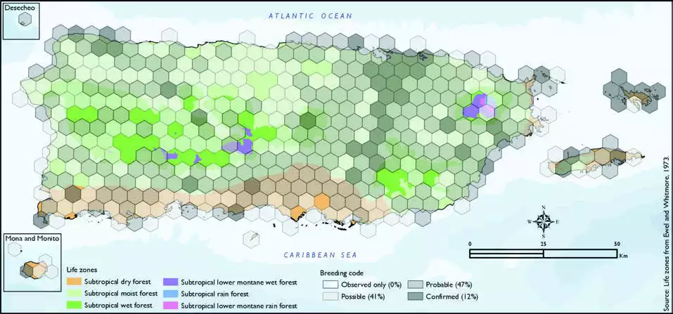 Zenaida Dove Distribution