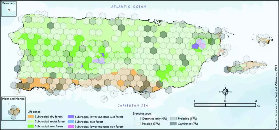 Mangrove Cuckoo Distribution