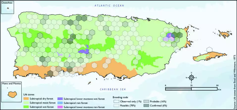 Puerto Rican Lizard-Cuckoo Distribution