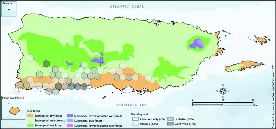 Puerto Rican Nightjar Distribution