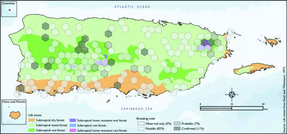 Puerto Rican Emerald Distribution