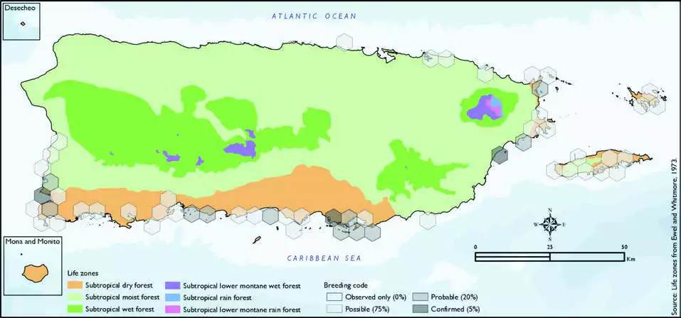 Clapper Rail Distribution