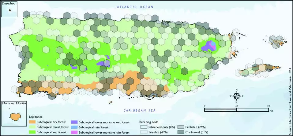 Common Gallinule Distribution