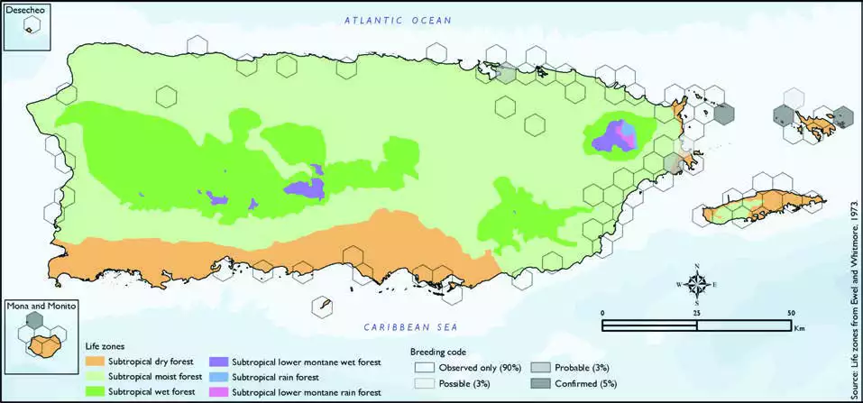 Laughing Gull Distribution