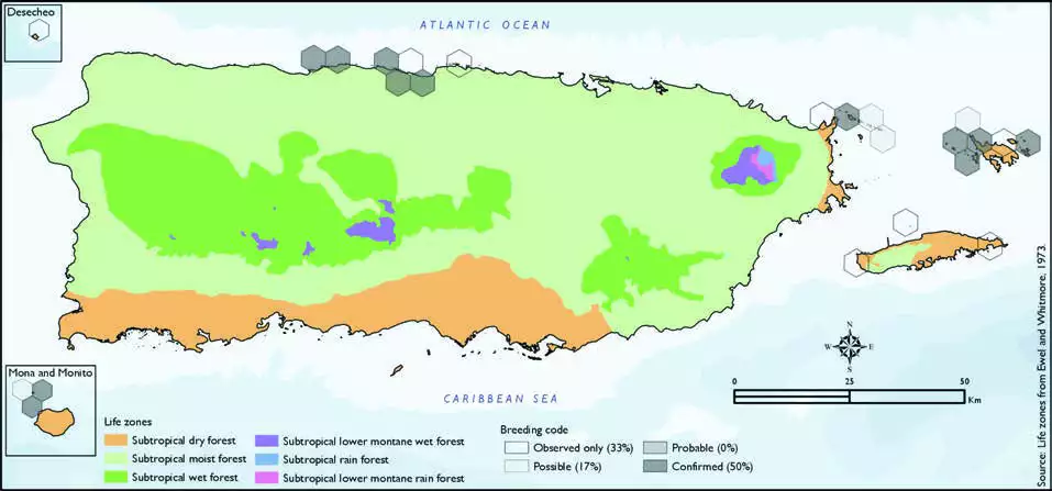 Bridled Tern Distribution