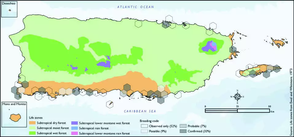 Least Tern Distribution