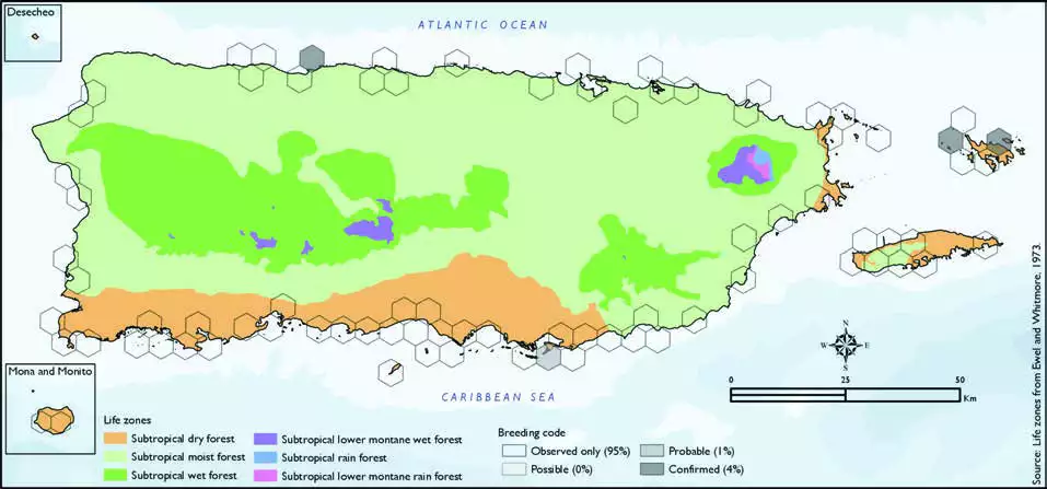 Royal Tern Distribution