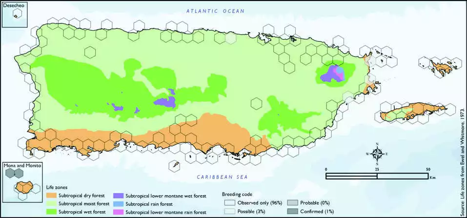 Magnificent Frigatebird Distribution