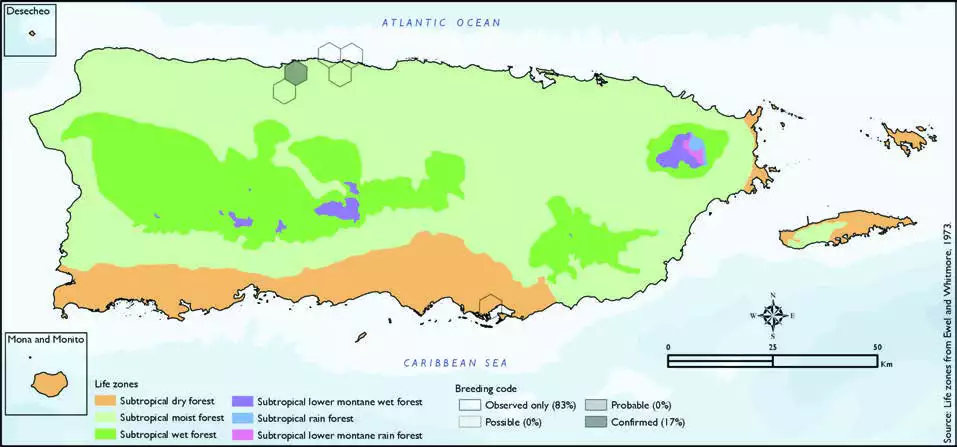 White Ibis Distribution