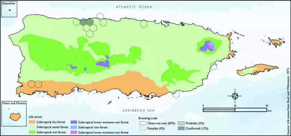 Glossy Ibis Distribution