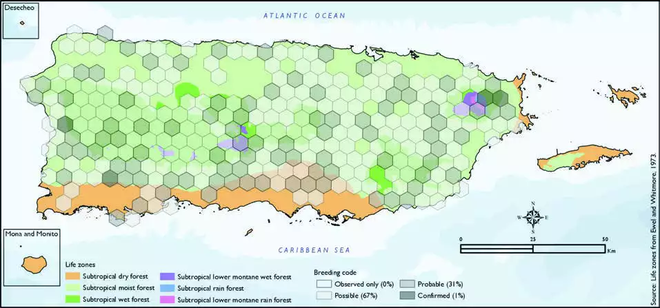 Puerto Rican Owl Distribution