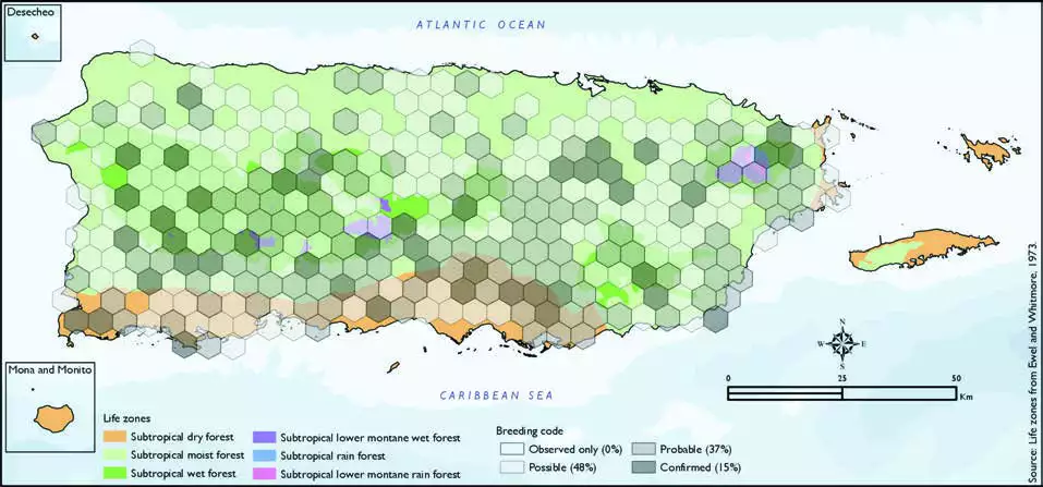 Puerto Rican Tody Distribution