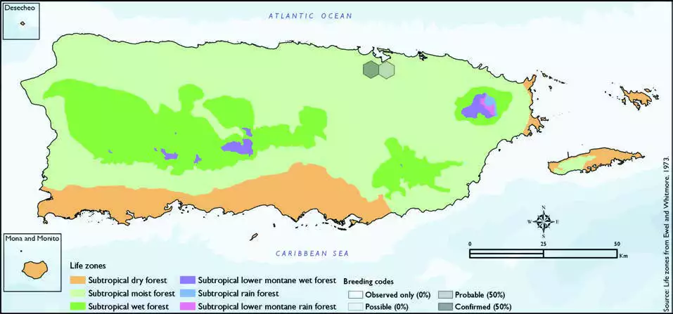 White Cockatoo Distribution