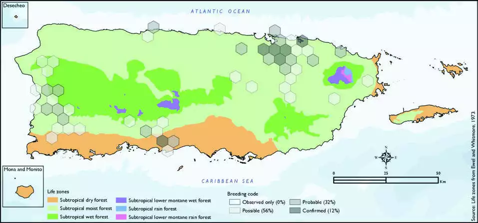 White-winged Parakeet Distribution