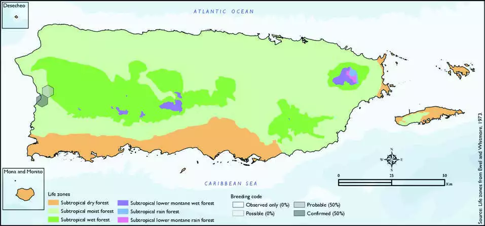 White-fronted Parrot Distribution