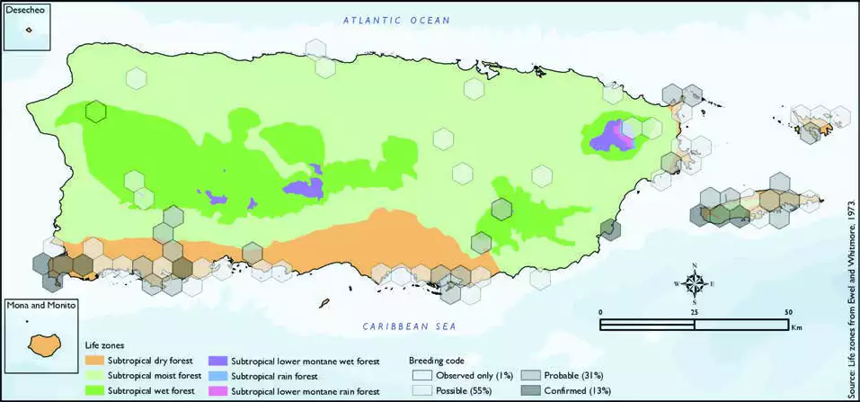 Caribbean Elaenia Distribution