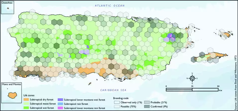 Puerto Rican Flycatcher Distribution