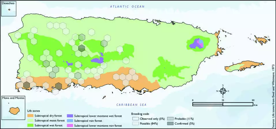 Lesser Antillean Pewee Distribution
