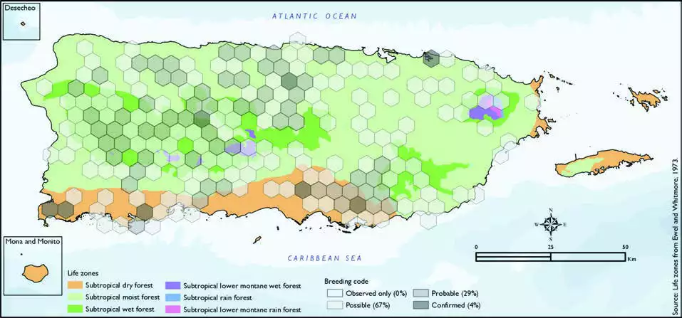 Puerto Rican Vireo Distribution