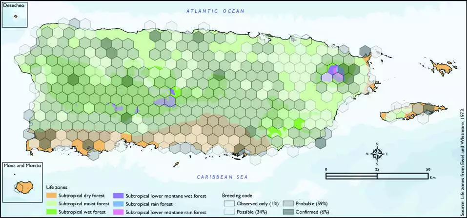 Black-whiskered Vireo Distribution