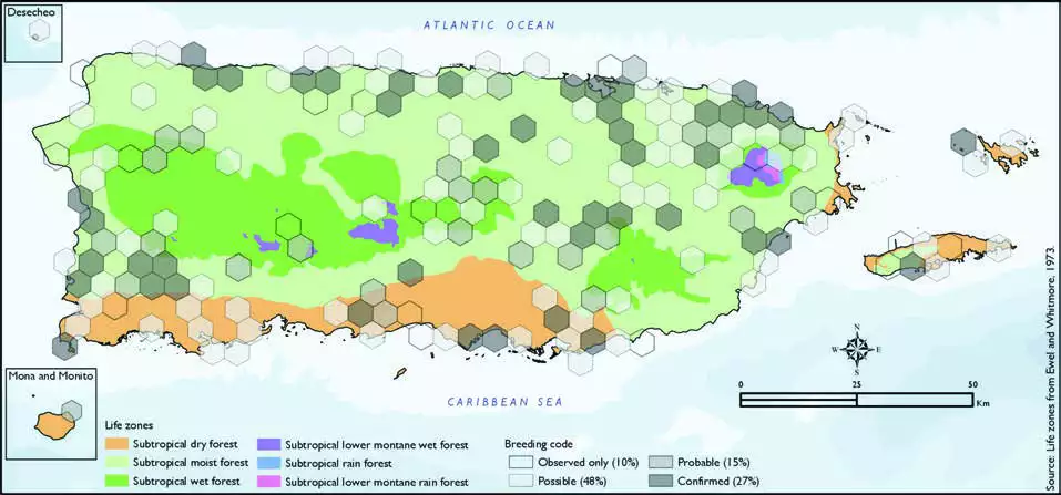 Caribbean Martin Distribution