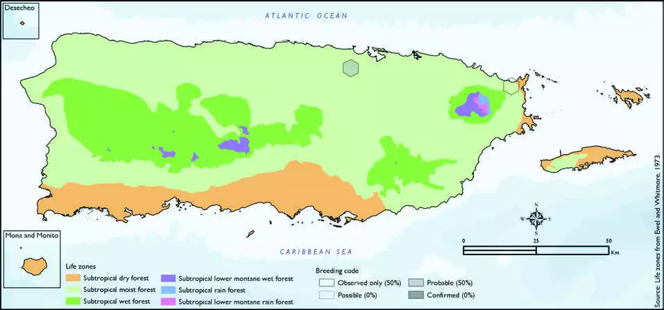 Great Myna Distribution