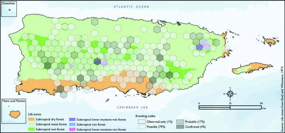 Antillean Euphonia Distribution