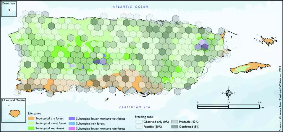 Puerto Rican Spindalis Distribution