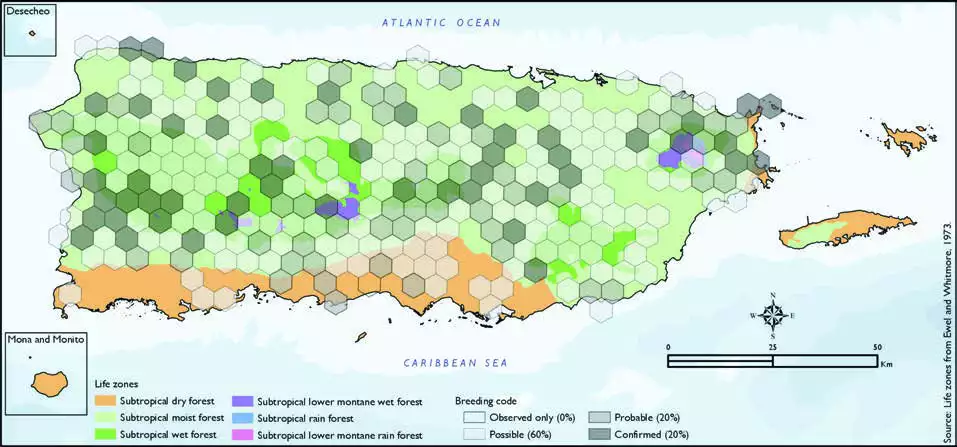 Puerto Rican Oriole Distribution