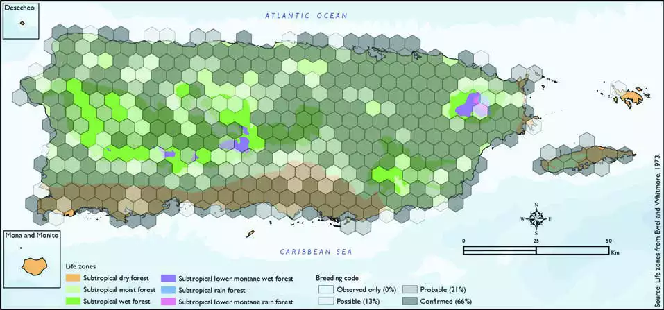 Greater Antillean Grackle Distribution