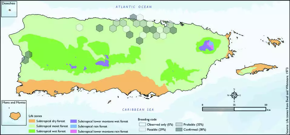 Saffron Finch Distribution